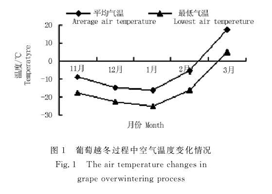 无胶棉大棚在新疆运用